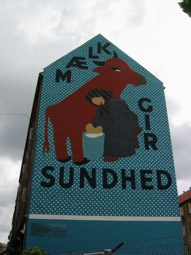 Mælk gir sundhed